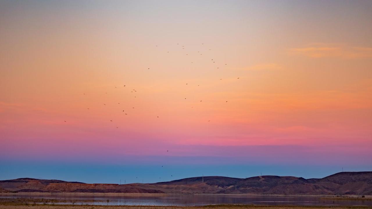 Ecolodge L'Ile De Ouarzazate Tarmigt Kültér fotó